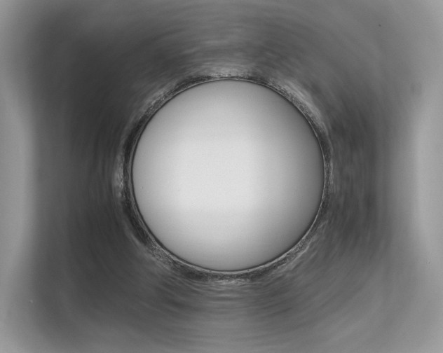 X0000113240202200909100929