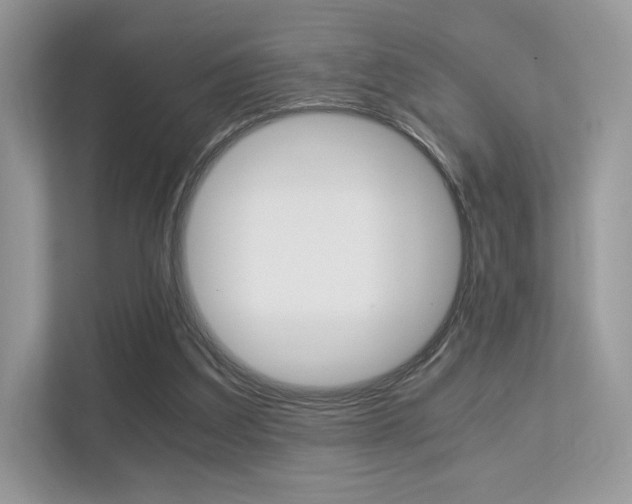 X0000113240203200909100929
