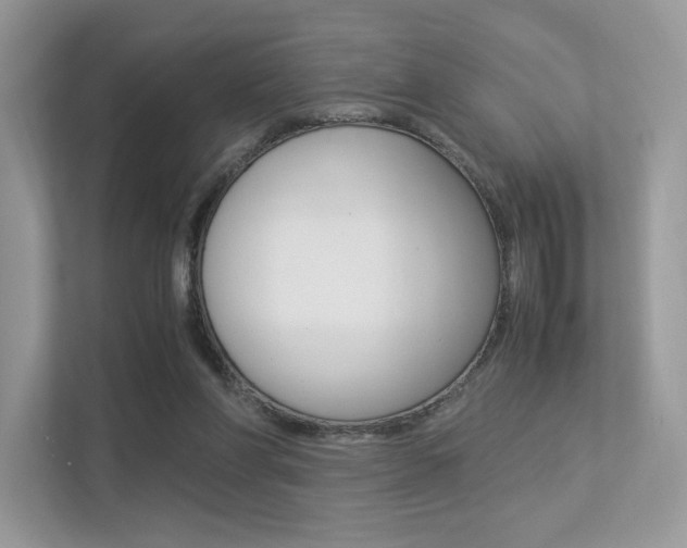 X0000113240206200909100929