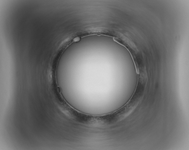 X0000113240207200909100929