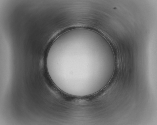 X0000113240208200909100929