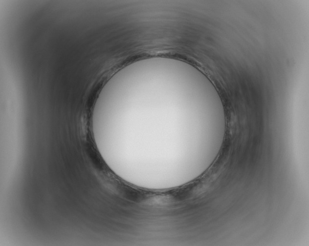 X0000113240210200909100929