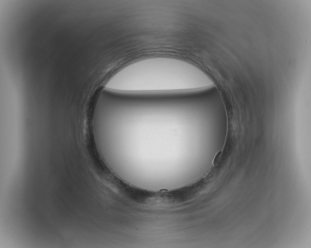 X0000113240211200909100929