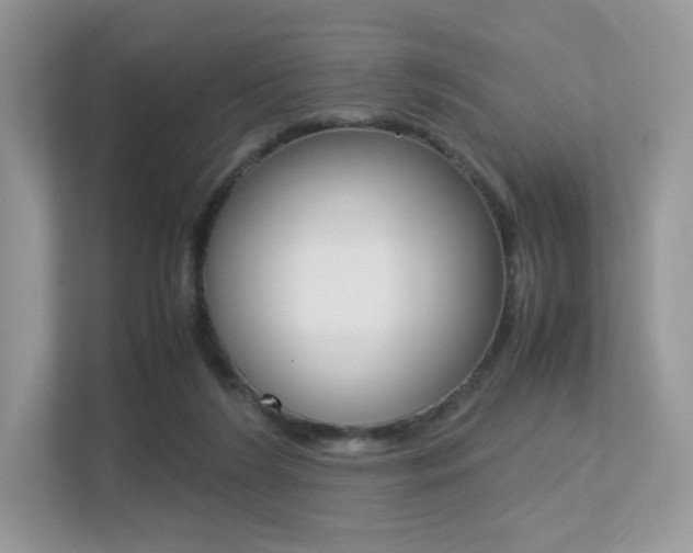 X0000113240212200909100929