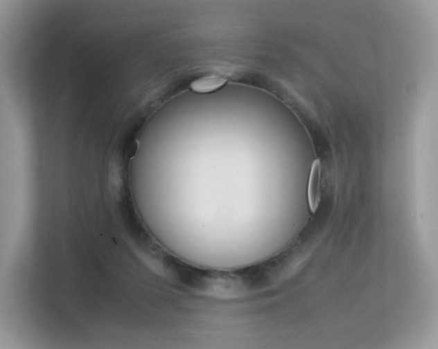 X0000113240215200909100929