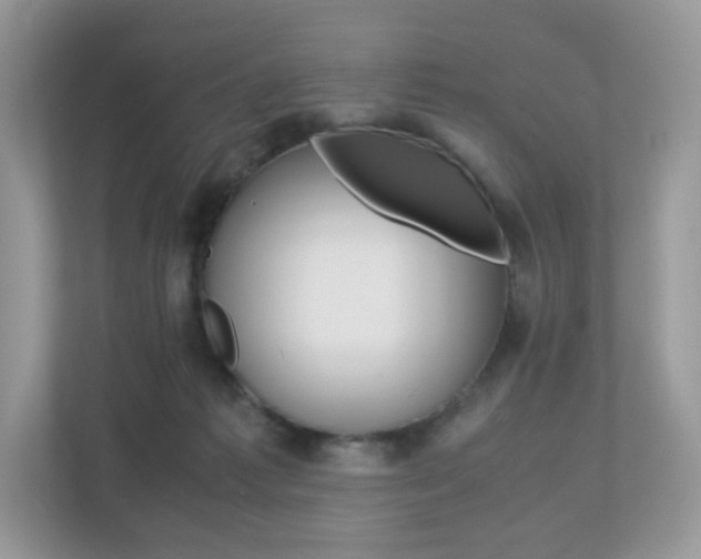 X0000113240221200909100929