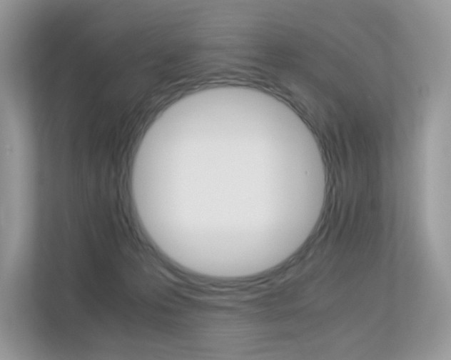 X0000113240223200909100929