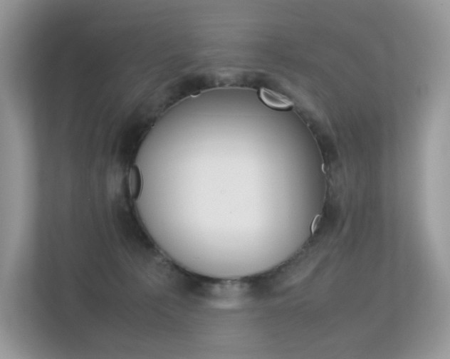 X0000113240225200909100929