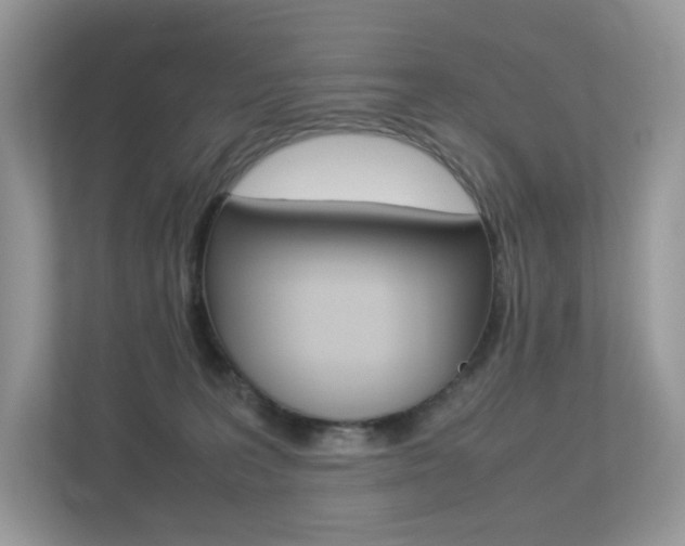 X0000113240227200909100929