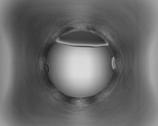 X0000113240229200909100929