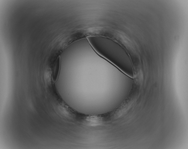 X0000113240231200909100929