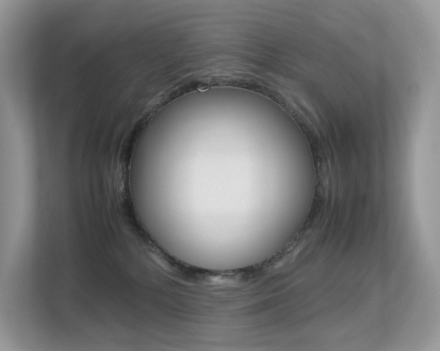 X0000113240232200909100929