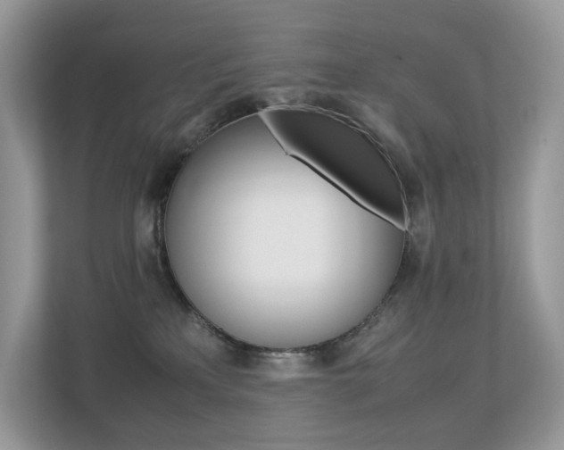 X0000113240233200909100929
