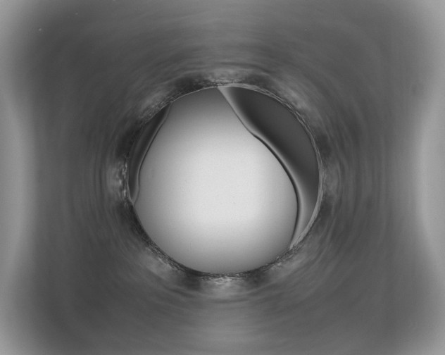 X0000113240237200909100929