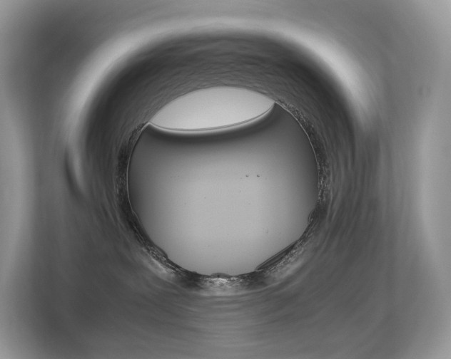 X0000113240239200909100929