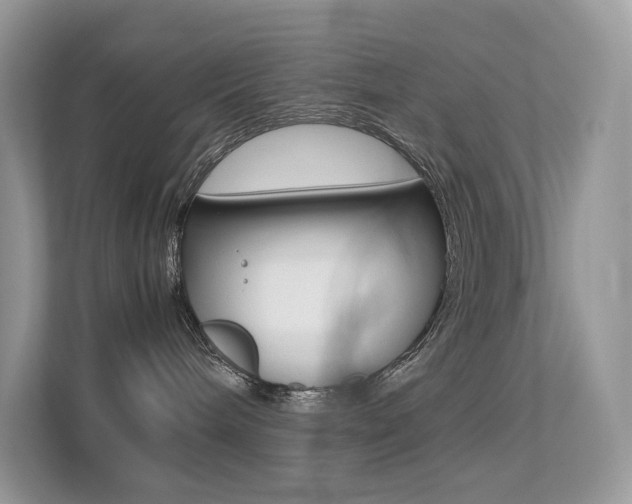 X0000113240240200909100929