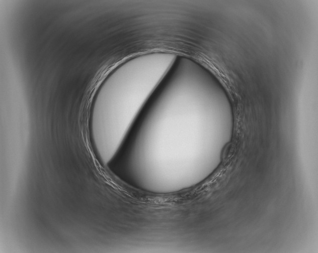 X0000113240241200909100928