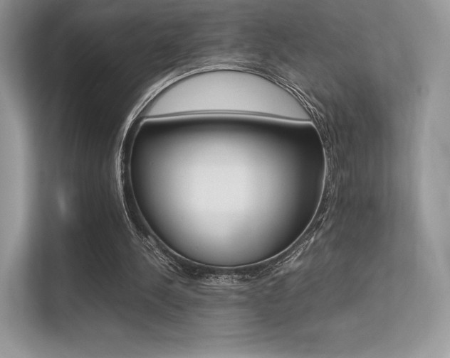 X0000113240244200909100928
