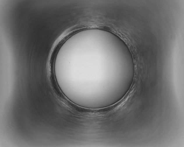 X0000113240246200909100928