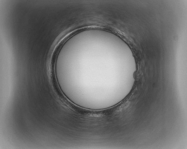 X0000113240247200909100928