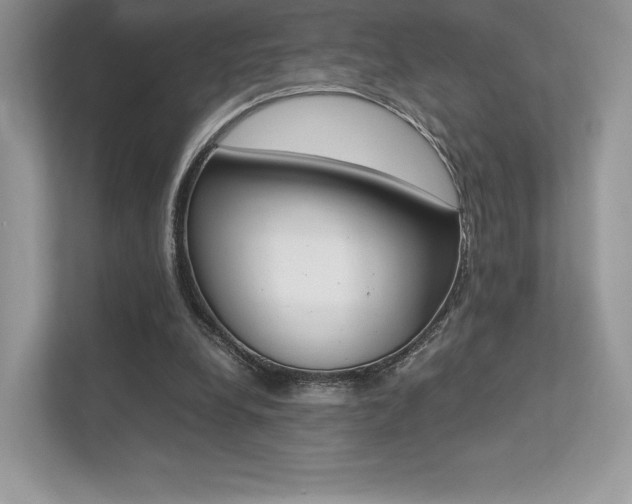 X0000113240248200909100928