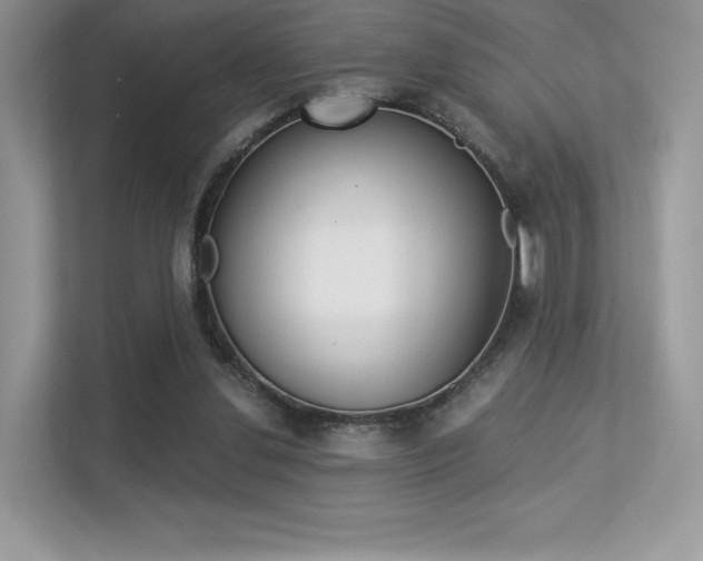 X0000113240252200909100928