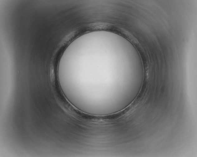 X0000113240254200909100928