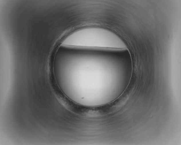 X0000113240256200909100928