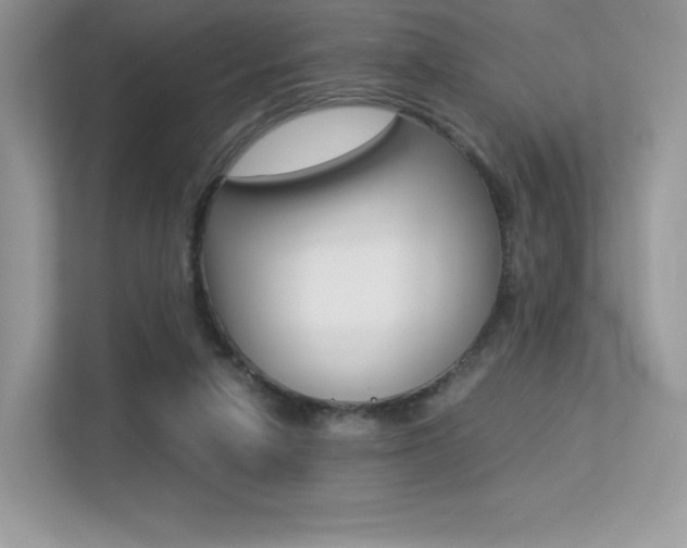 X0000113240258200909100928