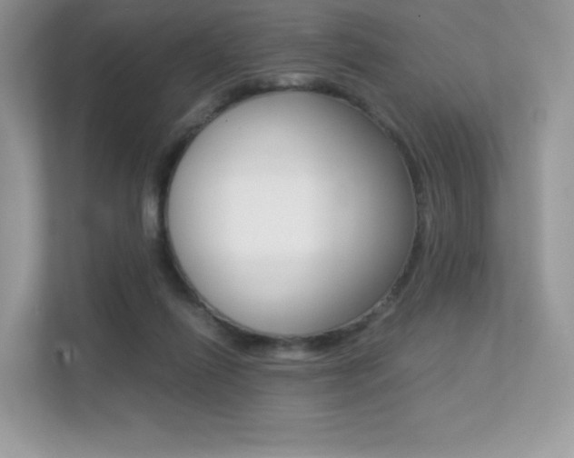 X0000113240262200909100928