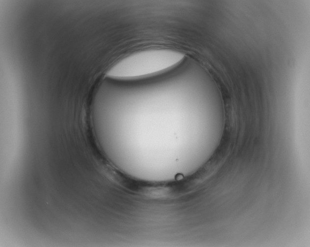 X0000113240266200909100929