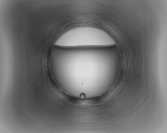 X0000113240268200909100929