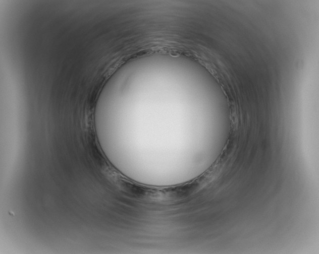 X0000113240276200909100929