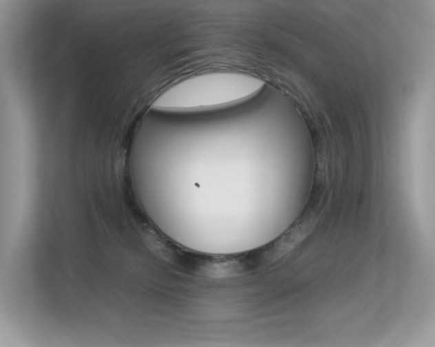 X0000113240278200909100929