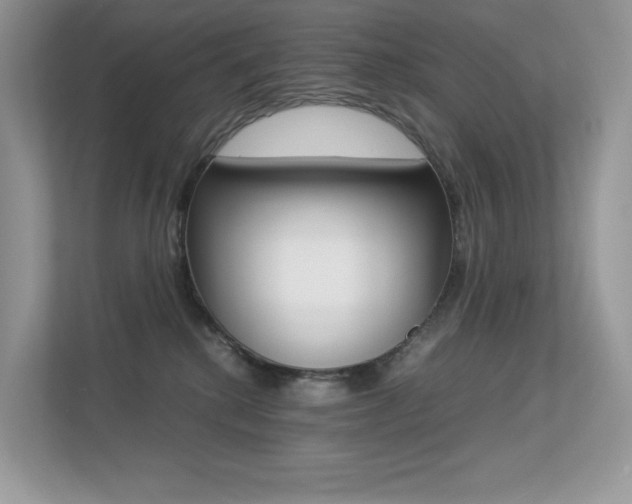 X0000113240280200909100929