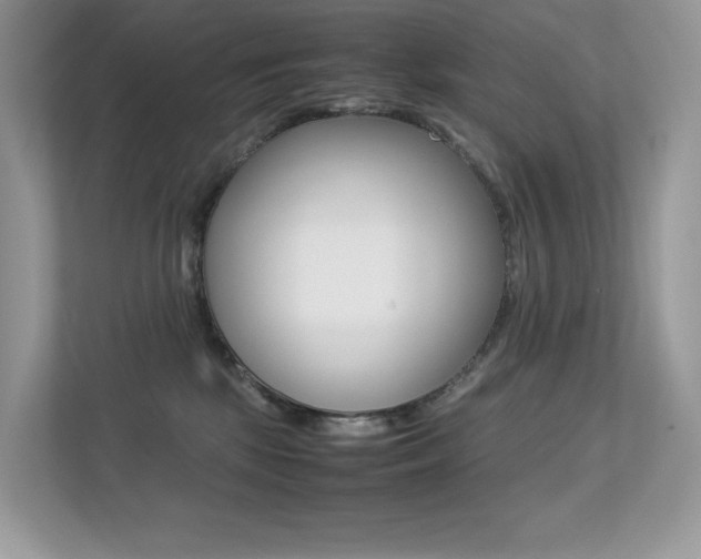 X0000113240281200909100929