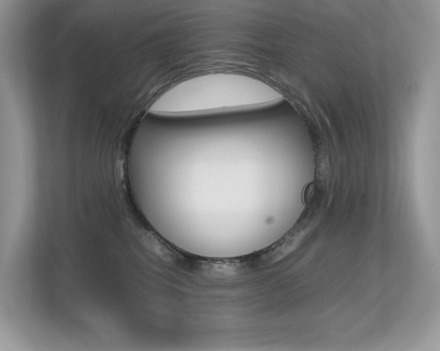 X0000113240282200909100929