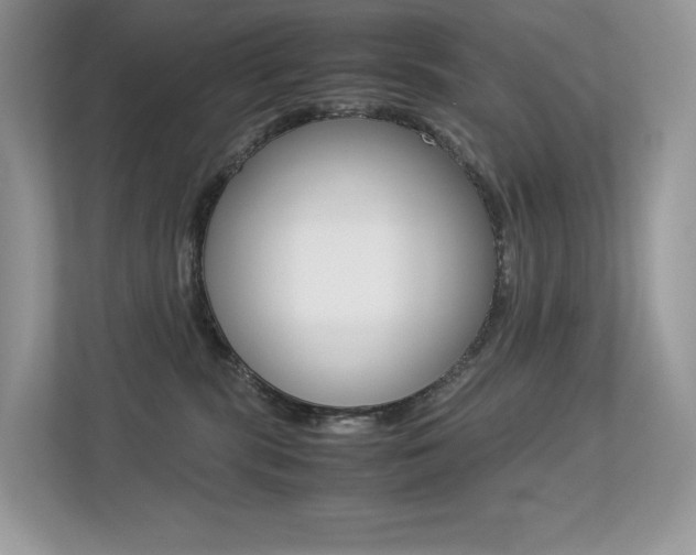 X0000113240283200909100929