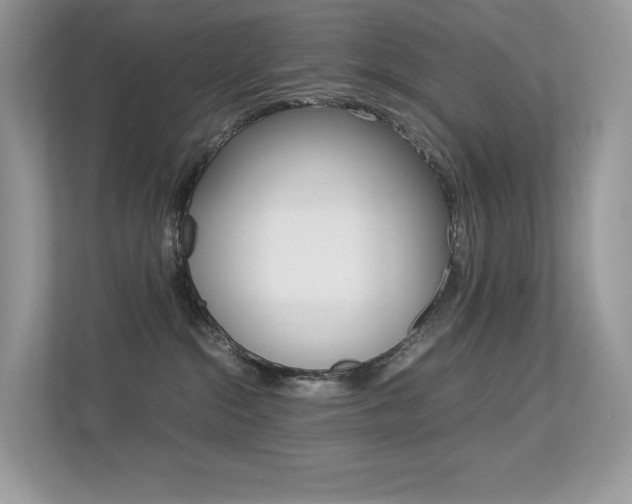 X0000113240284200909100929