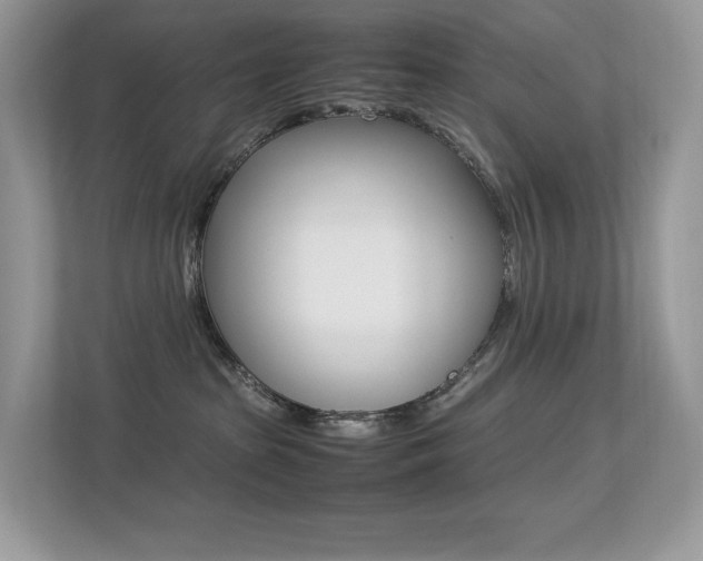 X0000113240285200909100929