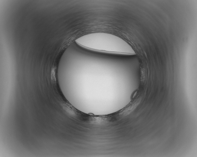 X0000113240286200909100929