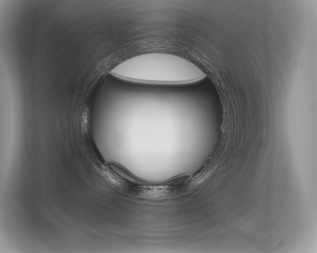 X0000113240288200909100929