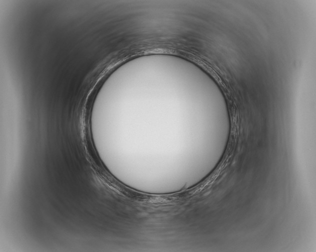 X0000113240290200909100928