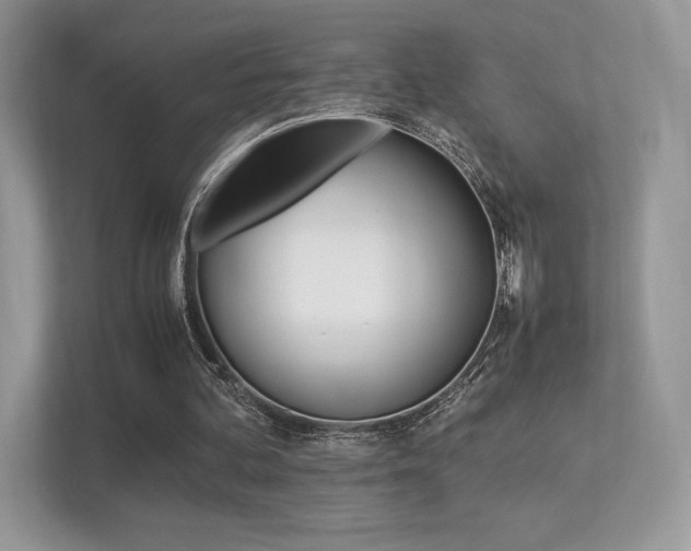 X0000113240292200909100928