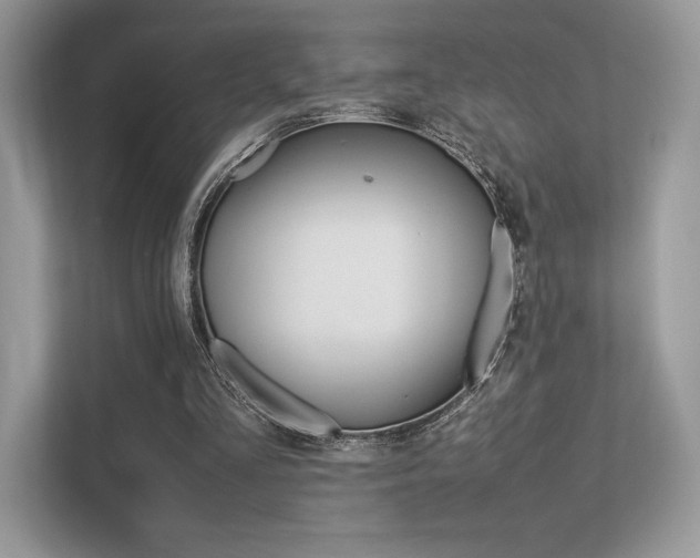 X0000113240293200909100928