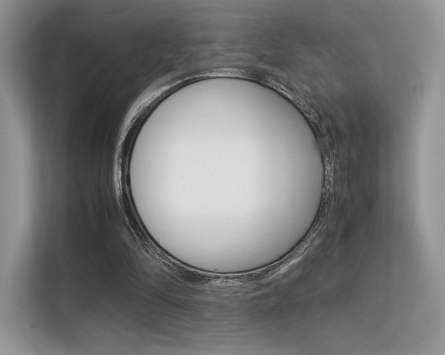 X0000113240294200909100928