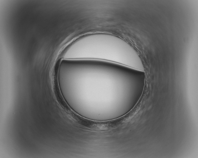 X0000113240295200909100928