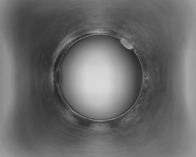 X0000113240296200909100928