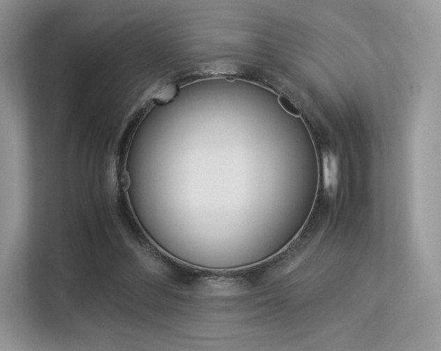 X0000113240300200909100928