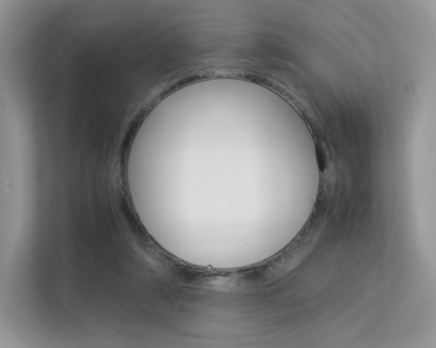 X0000113240306200909100928